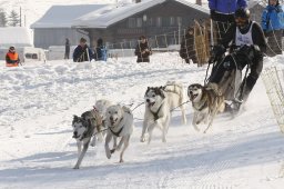 Lenk 2012 SM